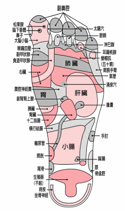 �}�������Ϯg��