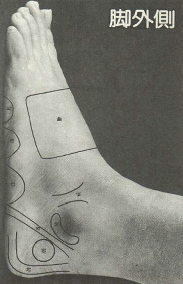 �}������~�}�~���Ϯg��